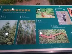 -中国湿地博物馆