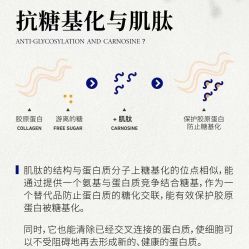 -星港国际·Skin皮肤专研·皮肤管理