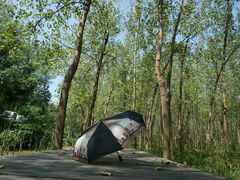 -合肥滨湖国家森林公园