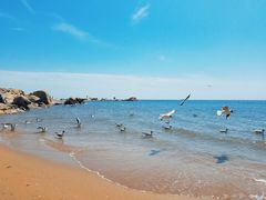 -老虎石海上公园