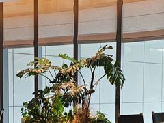 -南棠馆粤菜坊(销品茂店)