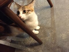 -看书吧(体育东横路店)