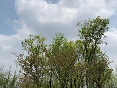 -府河摄影公园