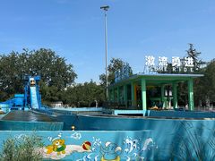 -北京石景山游乐园