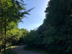 -洛阳市隋唐城遗址植物园