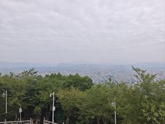 -风云岭森林公园