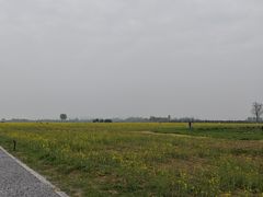 -汉长安城未央宫国家考古遗址公园