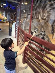 -酷嗒动物文化乐园(cutezoo西溪乐天城店)