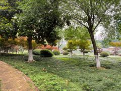 -后襄河公园