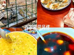 -呼吸森林·生态农庄农家乐私房菜