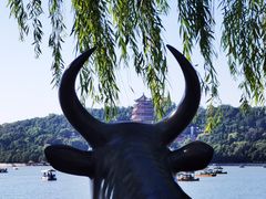 -颐和园
