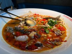 -坛宗剁椒鱼头(河西王府井店)