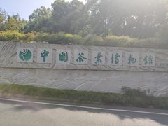 -龙井壹号·茶缘山景宴(龙井村店)