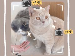 -Catmate·猫肥家润(金润铂宫店)