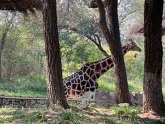-北京野生动物园