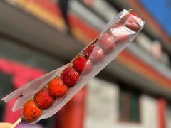 -和禄德冰糖葫芦
