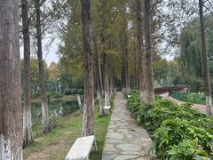 -金银湖国家城市湿地公园
