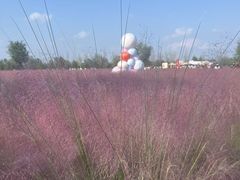 -汉长安城未央宫国家考古遗址公园