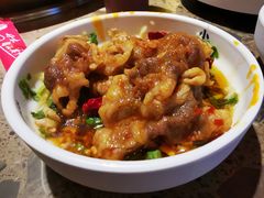 -小龙坎火锅(春熙太古里店)