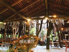 -绿光森林餐厅