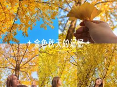 -重庆彩云湖湿地公园