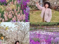 -盈香心动乐园