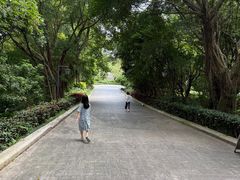 -福建鲤鱼洲酒店