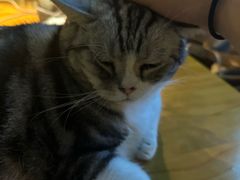 -咖法森林·咖啡  酒吧(天河店)