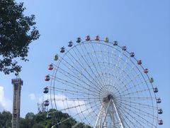 -温州乐园