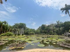 -中国科学院西双版纳热带植物园