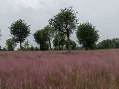 -汉长安城未央宫国家考古遗址公园