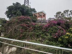 -景山公园
