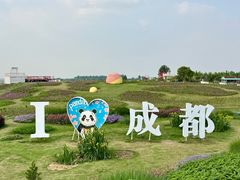 -空港花田景区