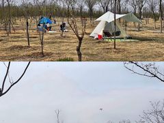 -天津东丽湖风景区