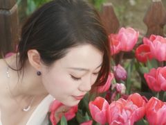 -荷兰花海