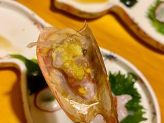 虾头-鮨清日本料理