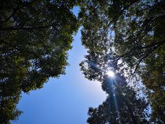 -太湖湖滨国家湿地公园-停车场