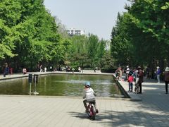 -玲珑塔公园