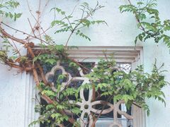 -青果巷历史文化街区