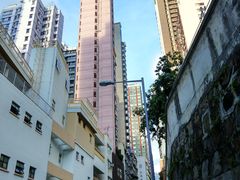 -香港大学
