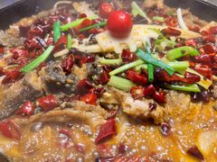 -老板恋上鱼(恒隆广场店)