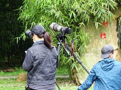 -华南国家植物园-售票处