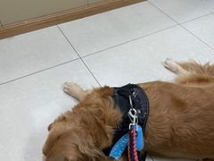 -天时宠物医院24小时疑难病例会诊中心(顾乡大街总院)