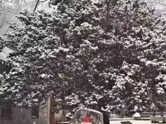 -崂山巨峰游览区