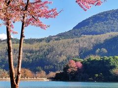 -和顺古镇