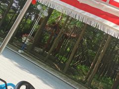 -日照海滨国家森林公园