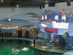 -苏州海洋馆