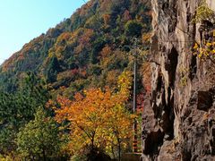 -东天目山风景区