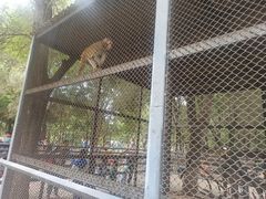 -长白岛森林公园