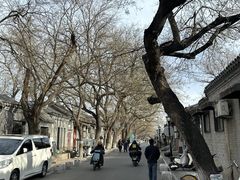-北京国子监胡同